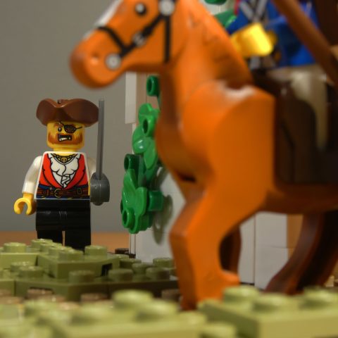 Steve sneaks up on a horse