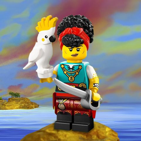 Pirate Quartermaster – Collectable Minifigure Series 27