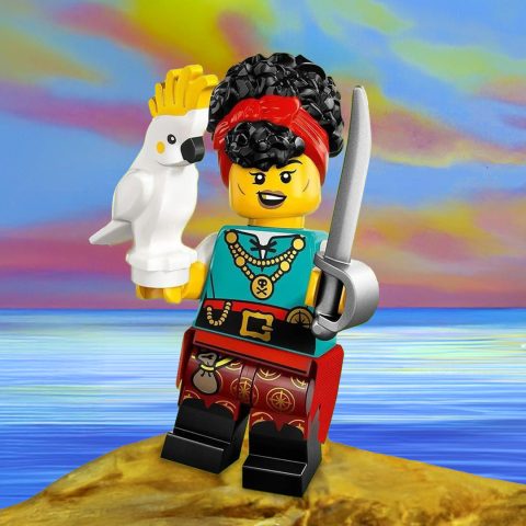 Pirate Quartermaster – Collectable Minifigure Series 27