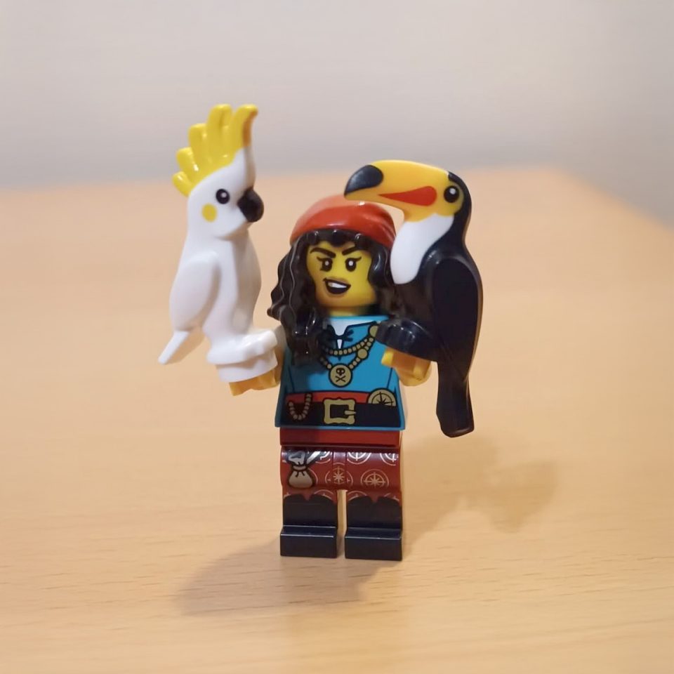 Pirate Quartermaster photographed by legoman_1983